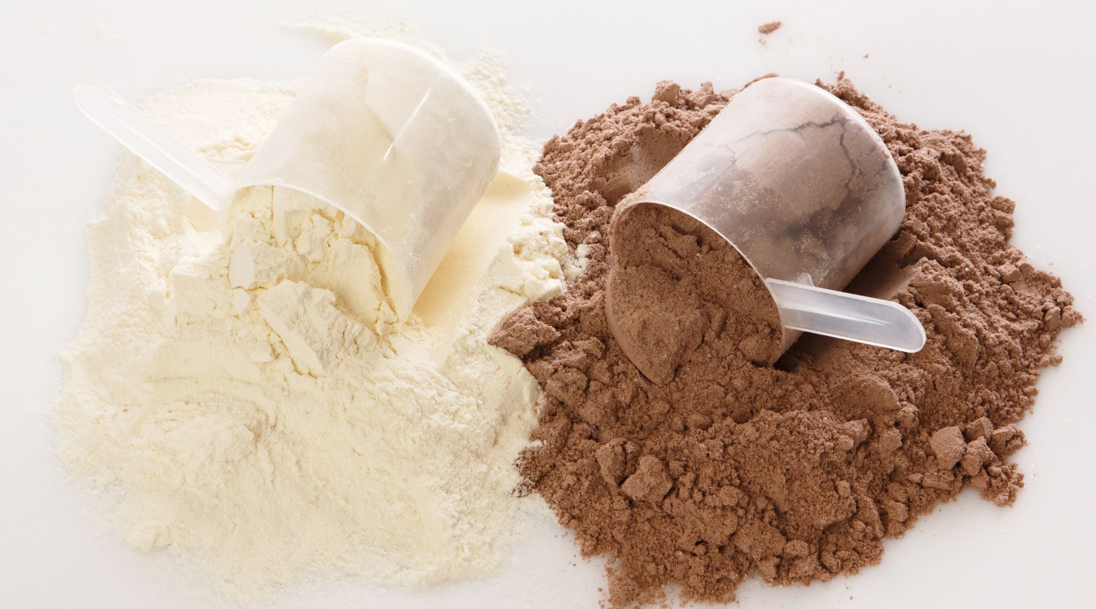 The Ultimate Guide to Choosing the Best Plant Protein Powder